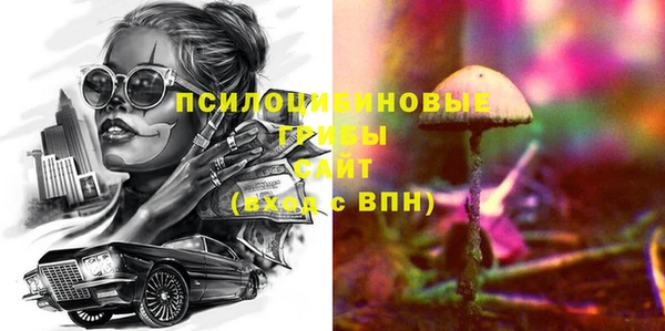 экстази Арсеньев
