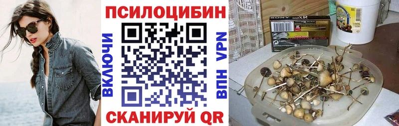 Псилоцибиновые грибы мухоморы  наркота  Сясьстрой 
